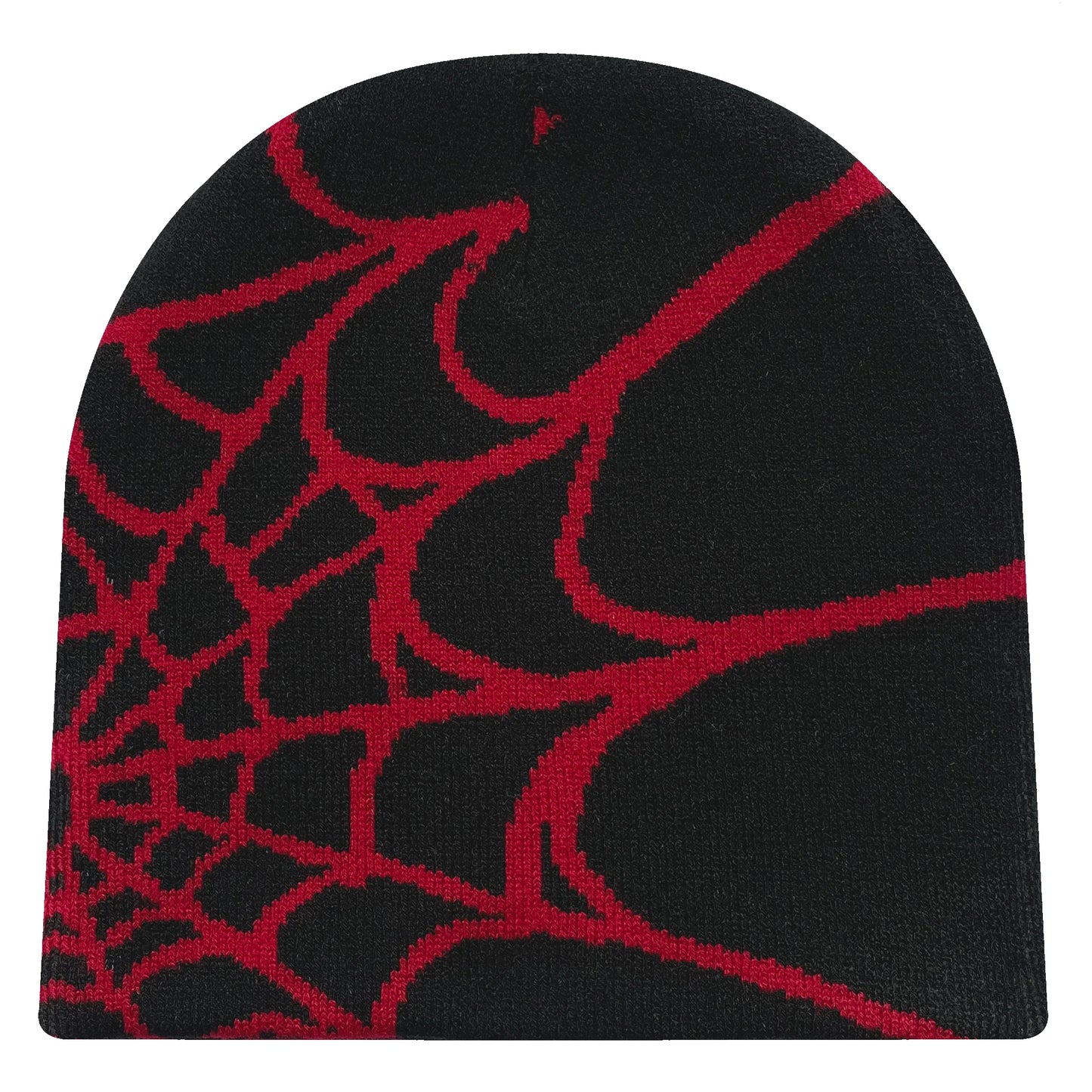 Y2K Spider Web Beanie