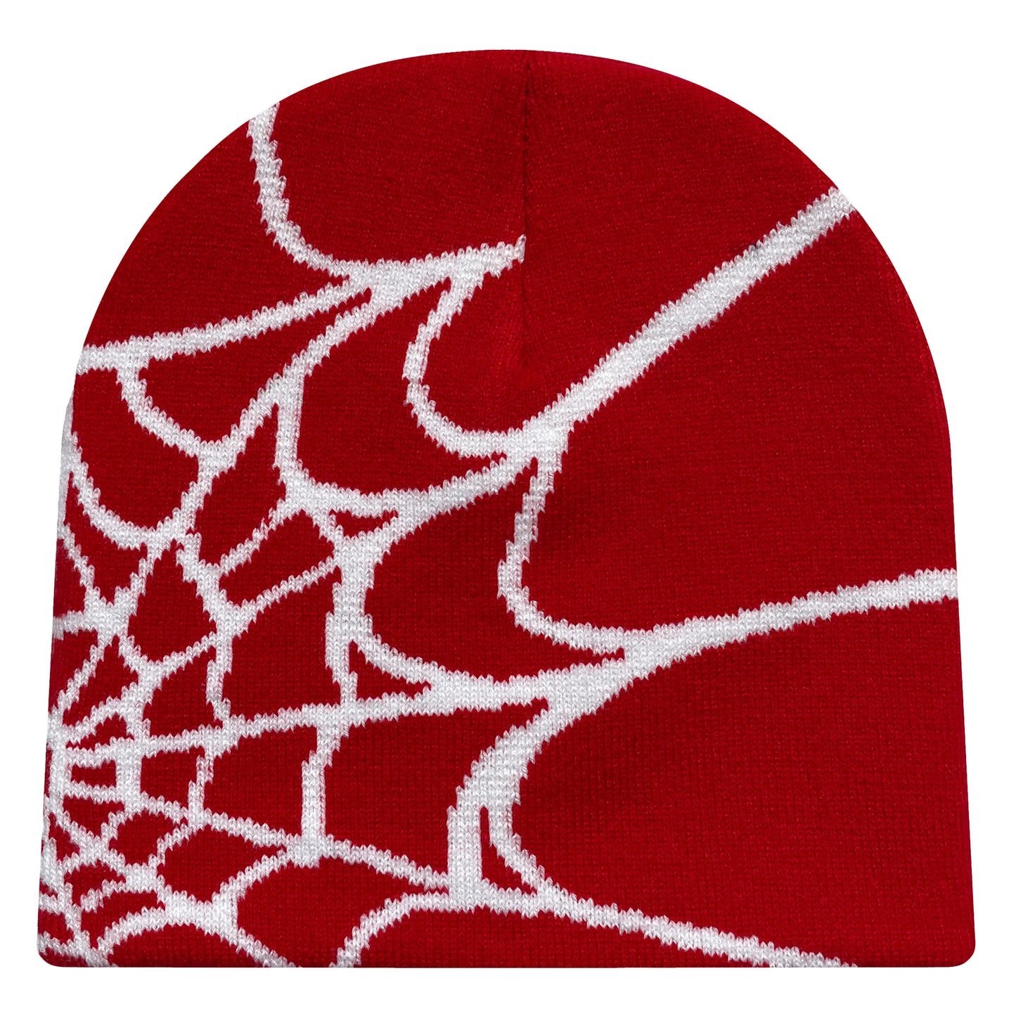 Y2K Spider Web Beanie